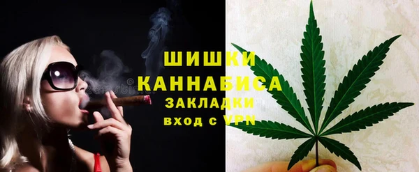 шишки Магадан