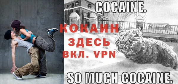 крисы Медногорск
