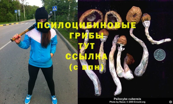 крисы Медногорск