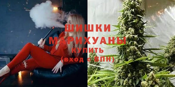 шишки Магадан