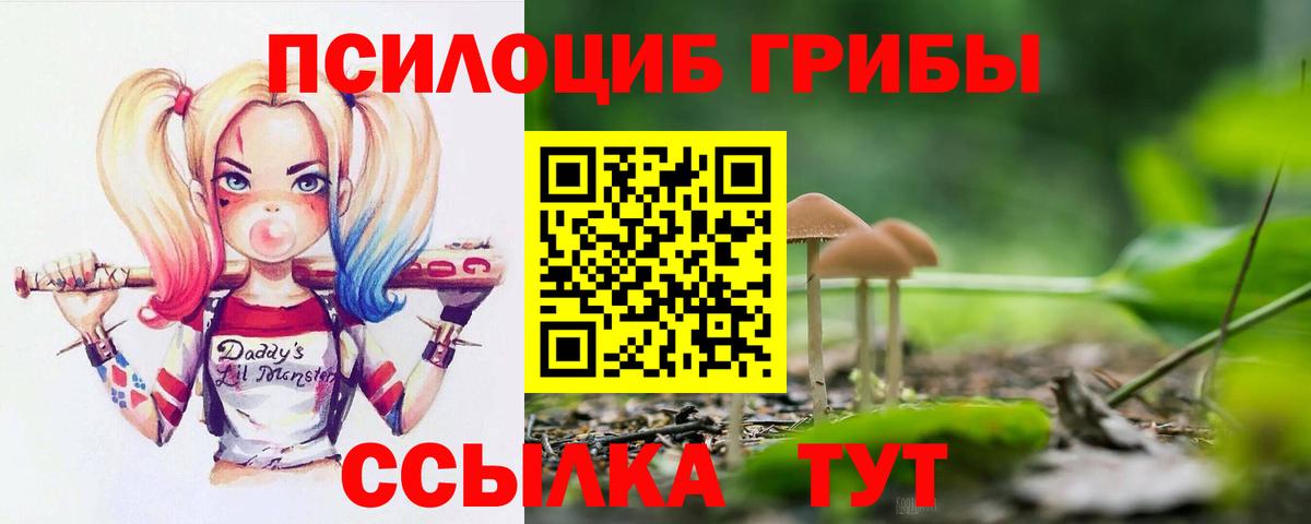 цены наркотик  Псилоцибиновые грибы GOLDEN TEACHER  Вход с VPN  Псилоцибиновые грибы Psilocybe  Шахты 