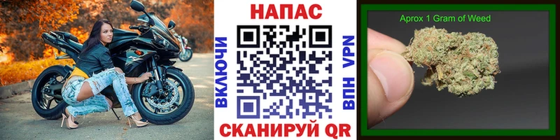 Канабис White Widow  как найти закладки  Шахты 